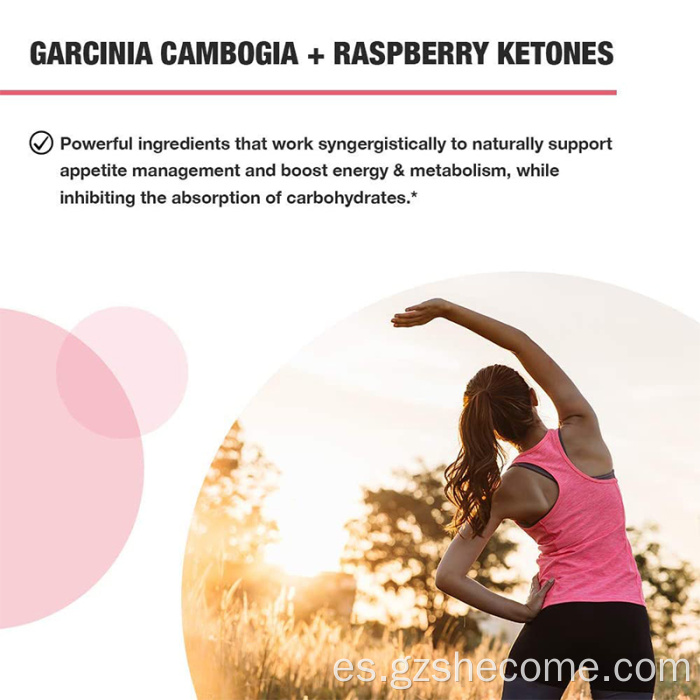 Extracto de té verde Pérdida de peso Cápsulas de quemador de grasa